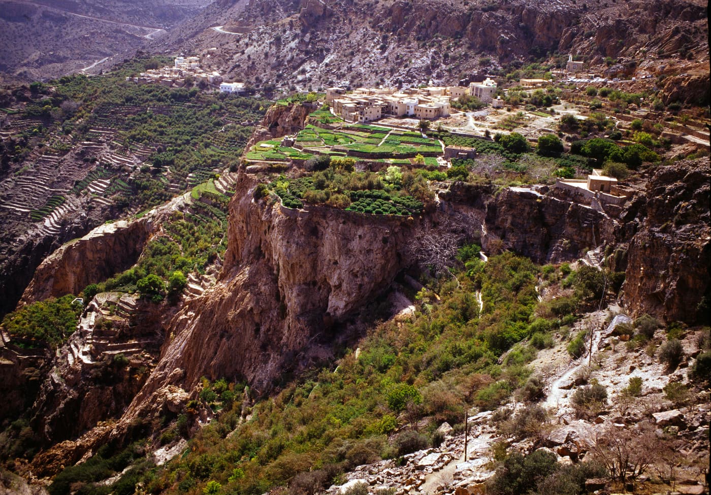 Terraced gardens and a village on the edge of Jebel Akhdar