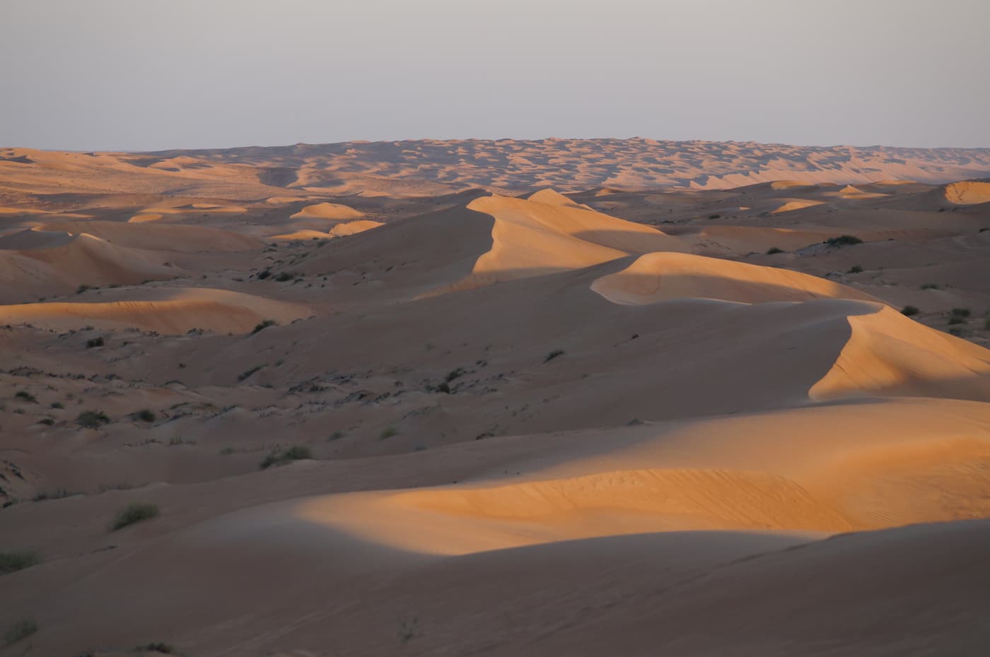 Rolling dunes of the Wahiba Sands at sunset