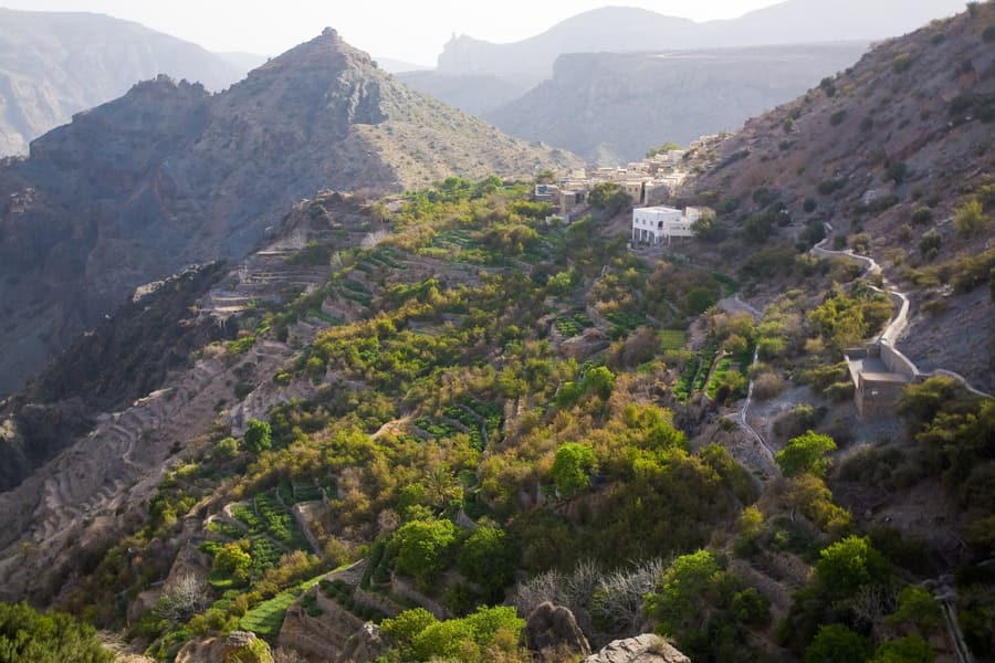 Terraced fields and a mountain village on Jebel Akhdar